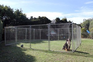 6m X 6m Pet Enclosure with Gate