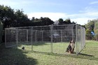6m X 6m Pet Enclosure with Gate