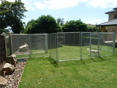 cat fence bunnings