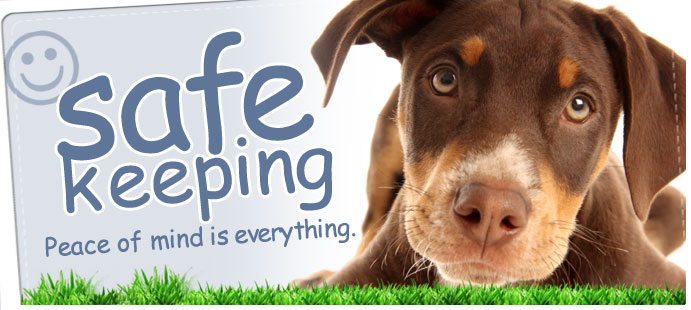 Keep your dog safe
